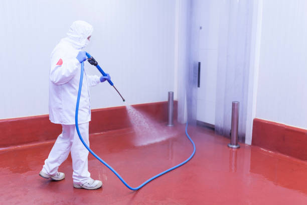 Professional Pressure Washing in Bay City, TX